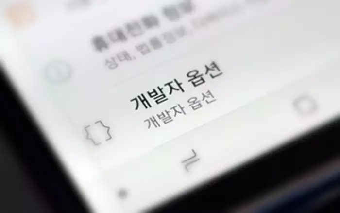 Galaxy 개발다 옵션 메뉴