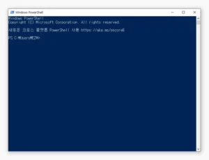 Windows PowerShell 실행 완료