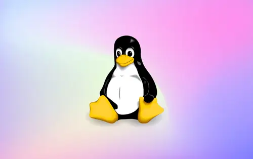 Linux