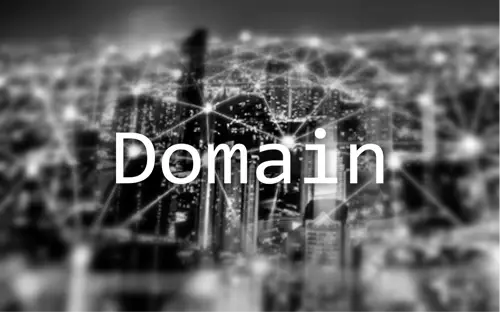 도메인 Domain
