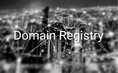 도메인 레지스트리 Domain Registry