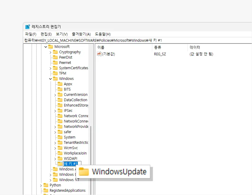 새로-만든-키-이름-WindowsUpdate로-지정